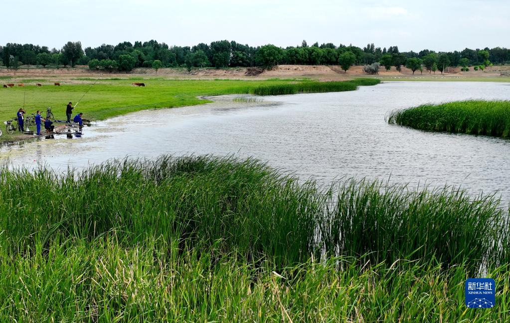 陕西靖边：芦河湿地水清景美