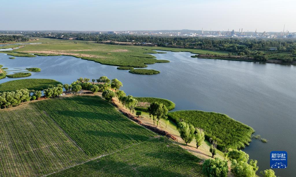 陕西靖边：芦河湿地水清景美