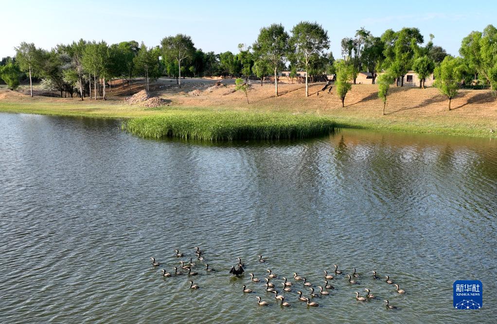 陕西靖边：芦河湿地水清景美