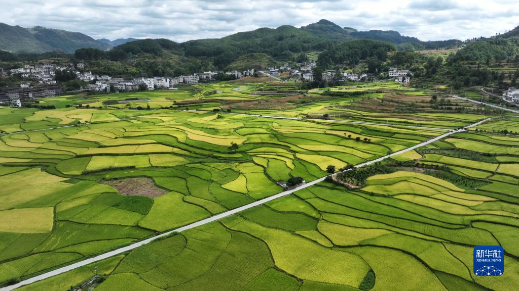 贵阳：禾丰田园 秀美如画
