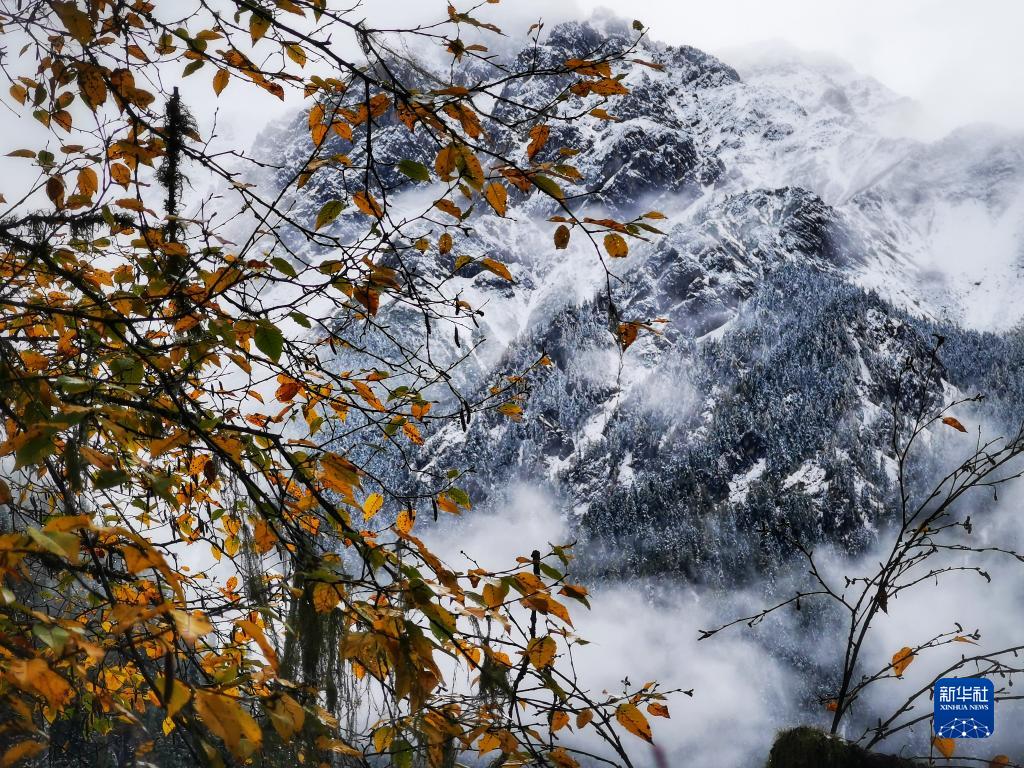 九寨沟彩林降秋雪