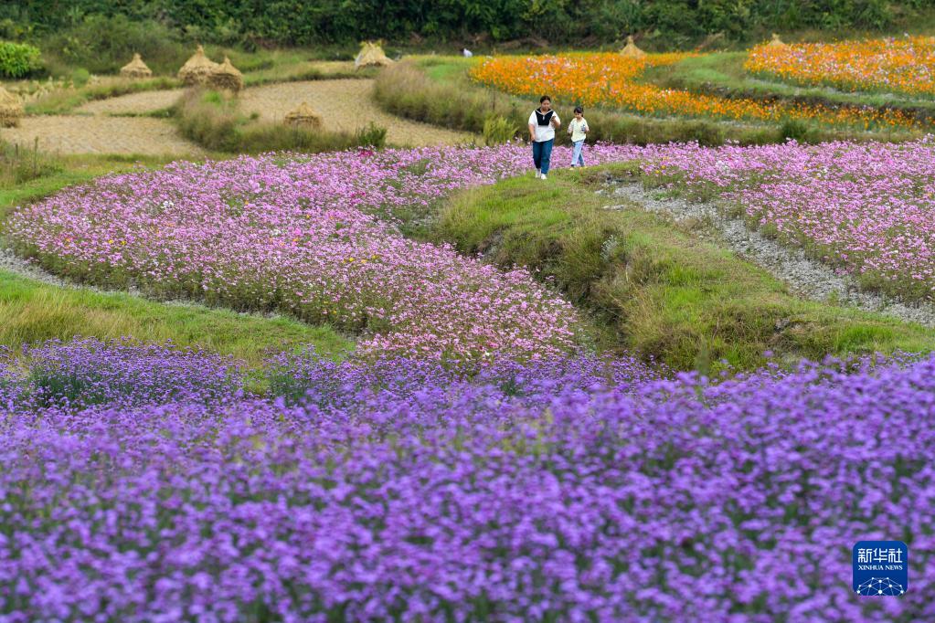 贵州花溪：农旅融合促振兴