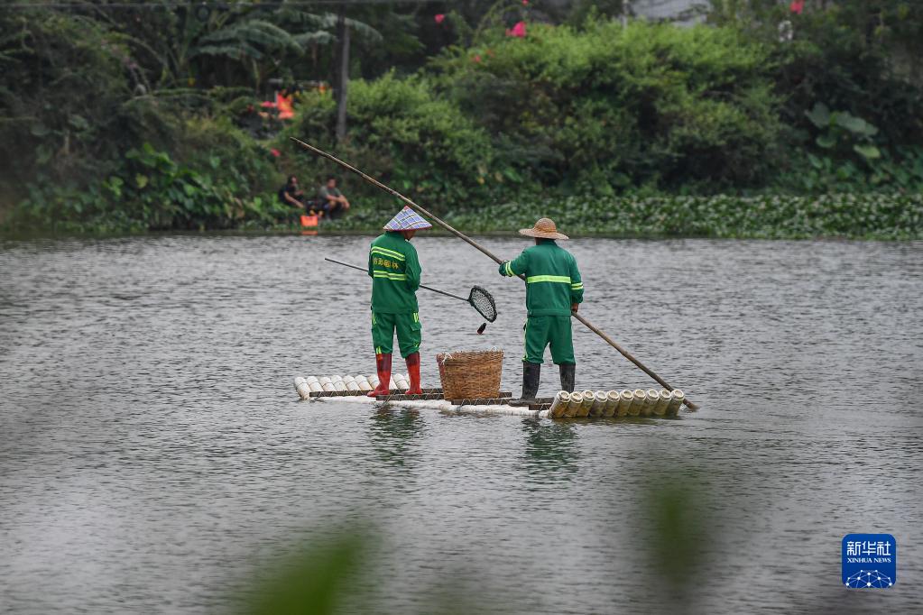 受污水库变身湿地公园