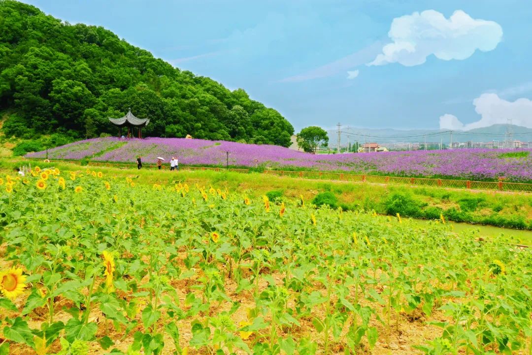 首批台州市非遗主题旅游线路 椒江篇丨述说百年历史 传承文化精髓