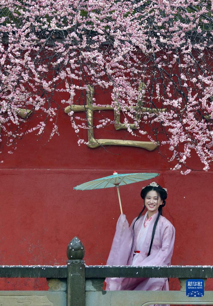 立春时节 古寺花香