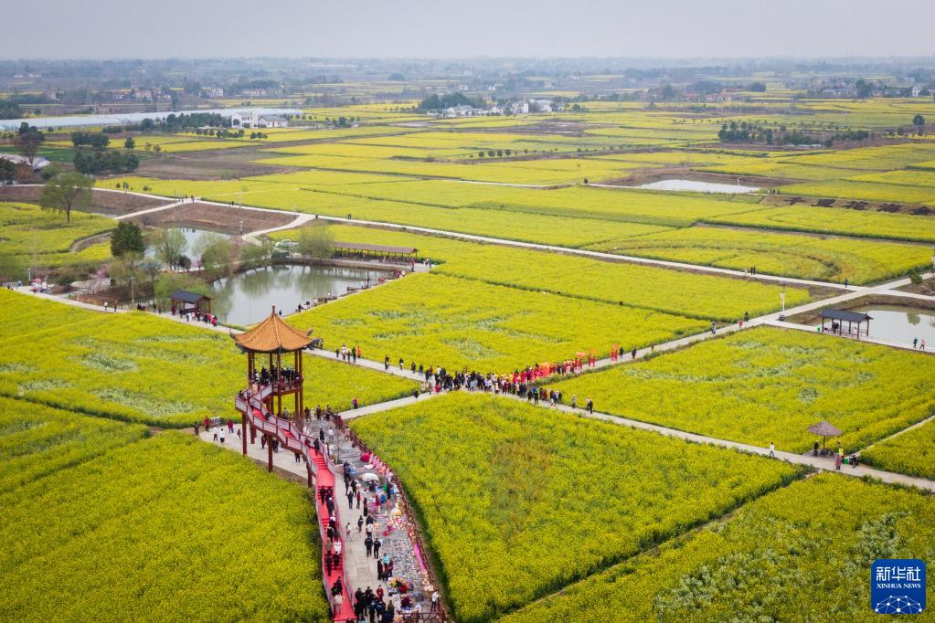 农旅融合 小油菜串起大产业