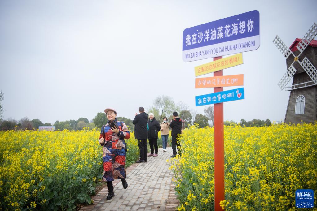 农旅融合 小油菜串起大产业