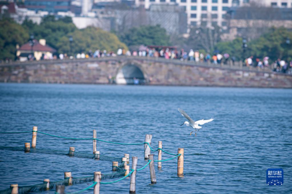 浙江水环境治理成效显著 美丽河湖扮靓“诗画江南”