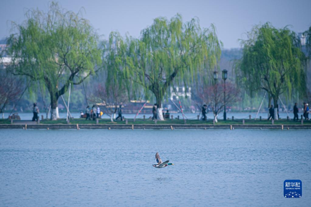 浙江水环境治理成效显著 美丽河湖扮靓“诗画江南”