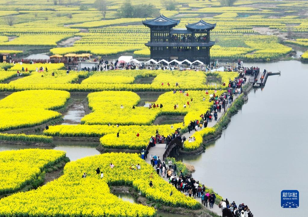 人在花中游