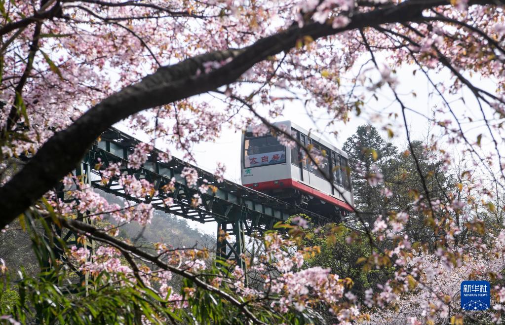 江西：春和景明引游人