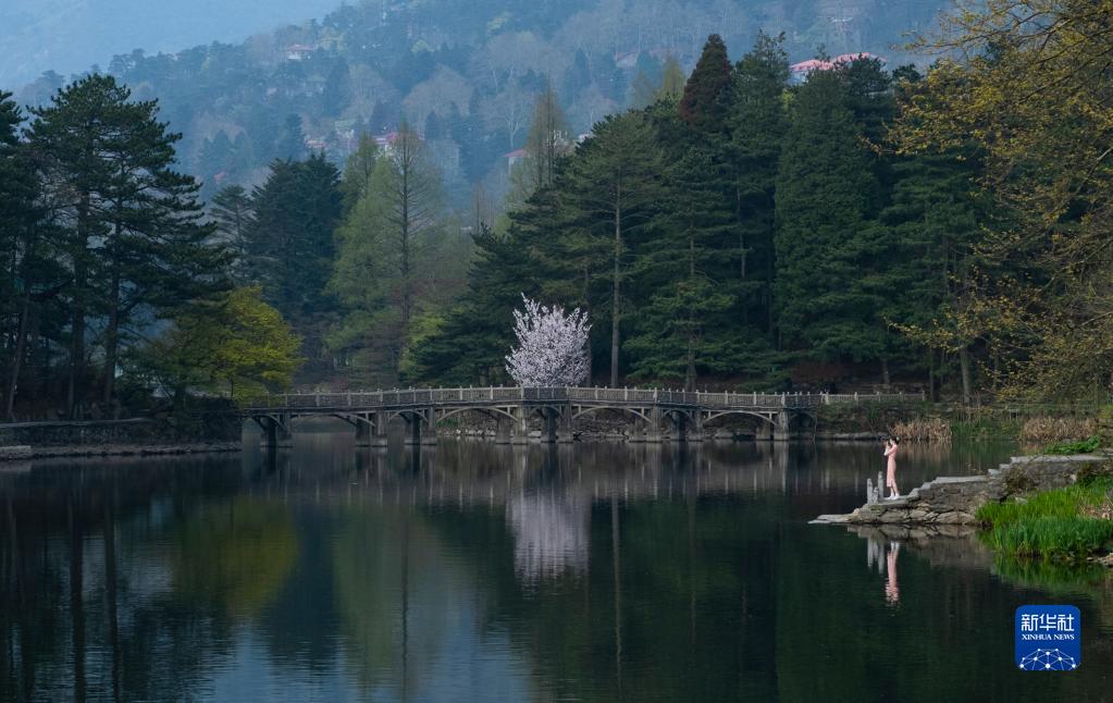 江西：春和景明引游人