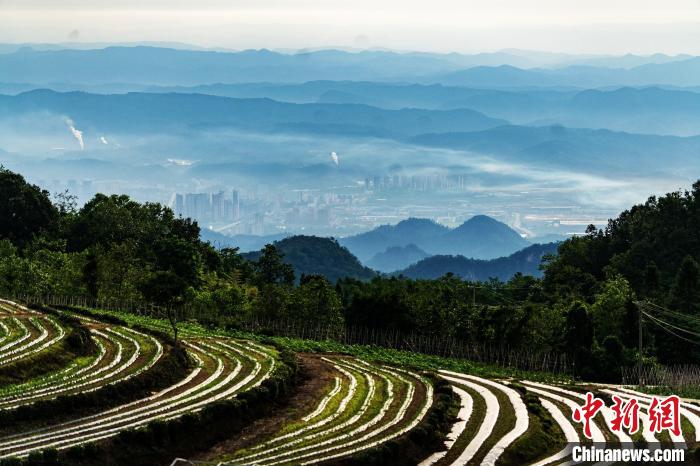 湖北远安：农旅融合助“高山村”变“幸福村”