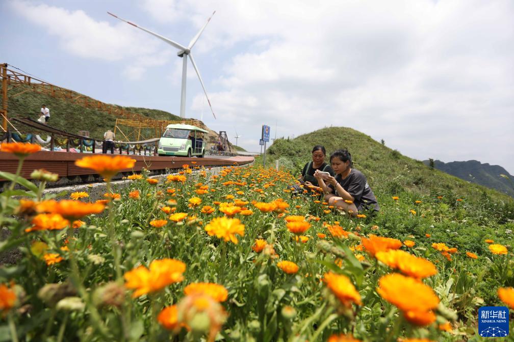 贵州播州：打造区域旅游新业态