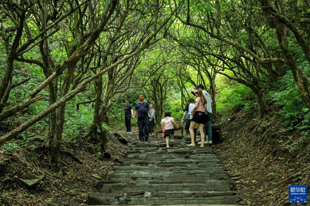 贵州播州：打造区域旅游新业态