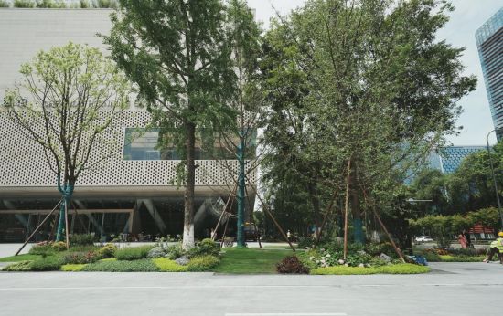 景观升级 成都高新区公园城市美好空间“上新”了