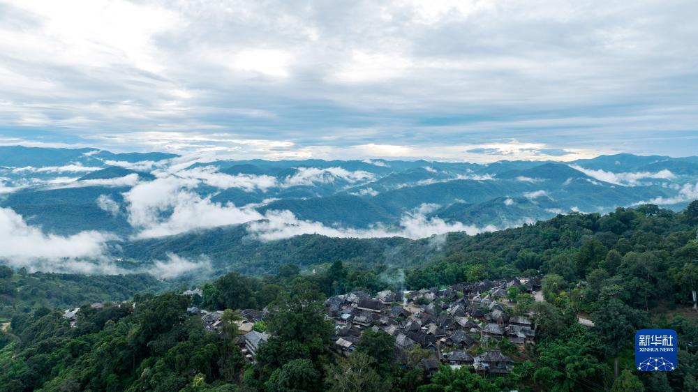 “普洱景迈山古茶林文化景观”申遗成功