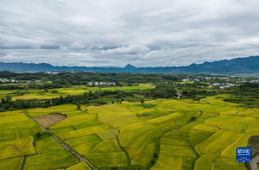 水墨徽州“画”烟雨