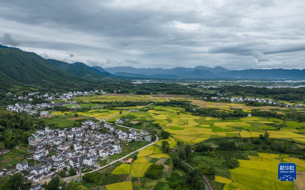 水墨徽州“画”烟雨