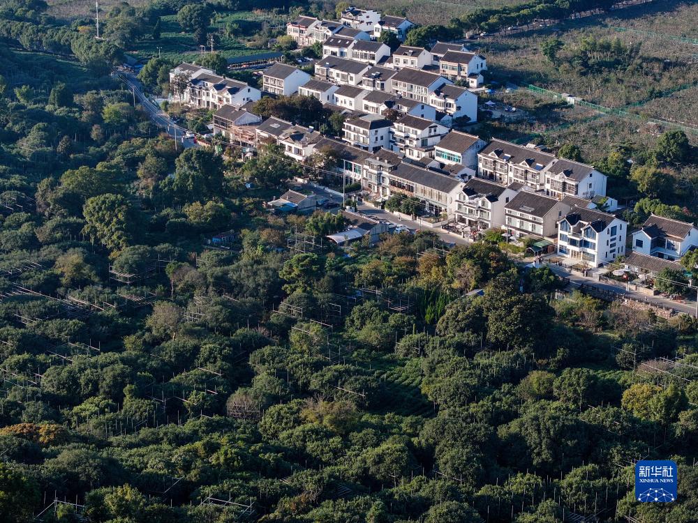 苏州树山村：田园景色美 民宿引客来