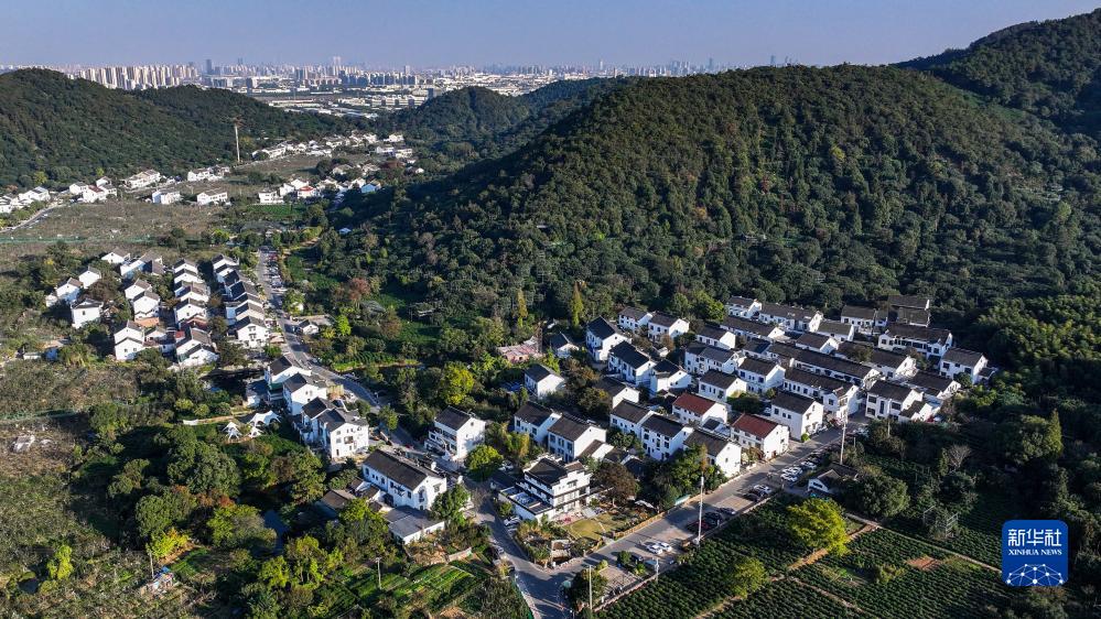 苏州树山村：田园景色美 民宿引客来