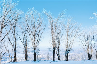 吉林冰雪“破圈”三棱镜