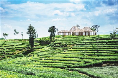 浙江松阳：景致原生态 旅游新业态