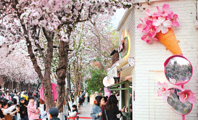 “小海棠” “大文章”