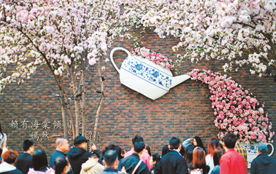 “小海棠” “大文章”