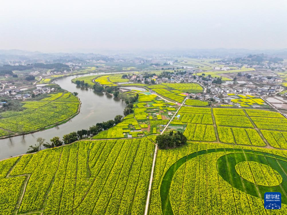 “油菜花经济”丰富农村经济业态