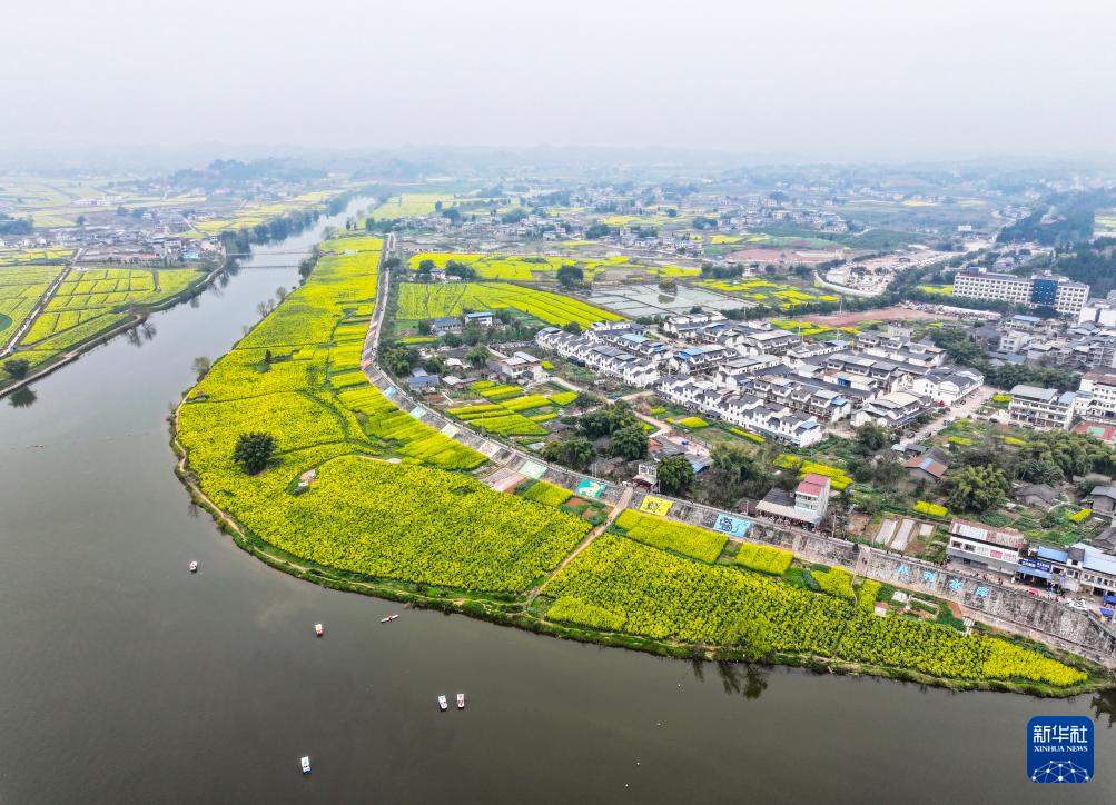 “油菜花经济”丰富农村经济业态