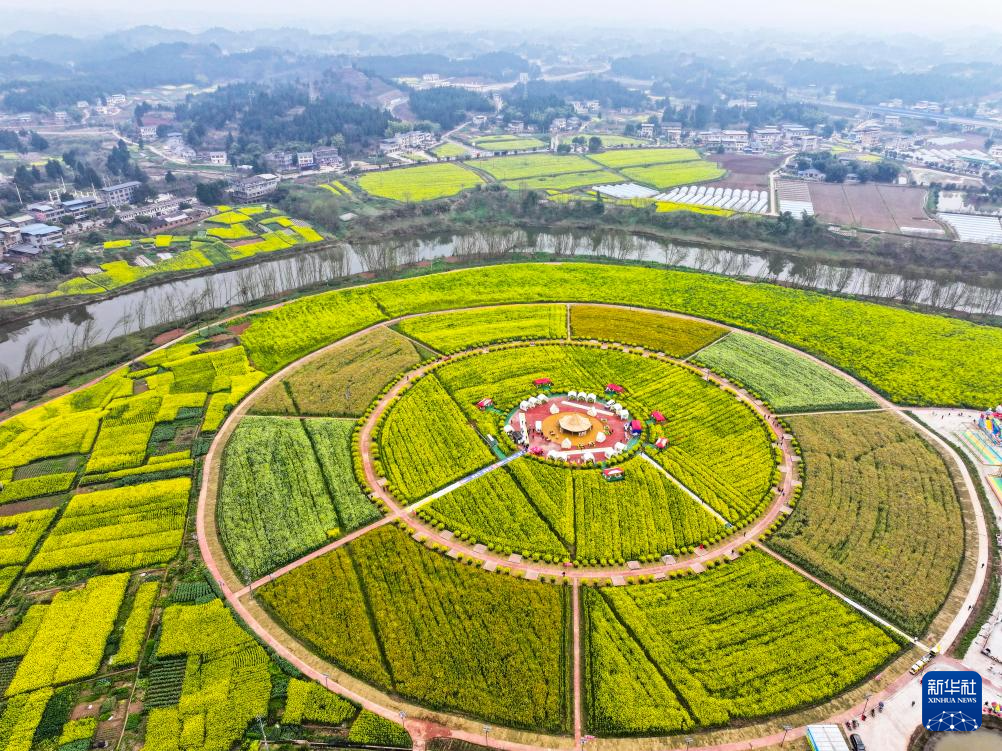 “油菜花经济”丰富农村经济业态