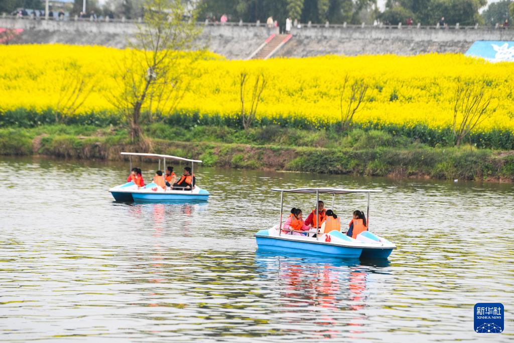 “油菜花经济”丰富农村经济业态