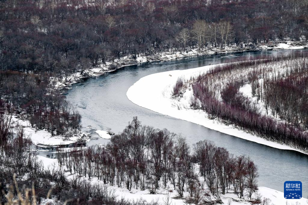 雪后的额尔古纳湿地