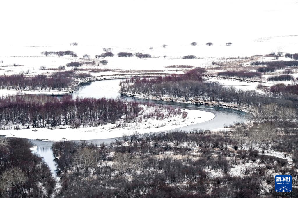 雪后的额尔古纳湿地