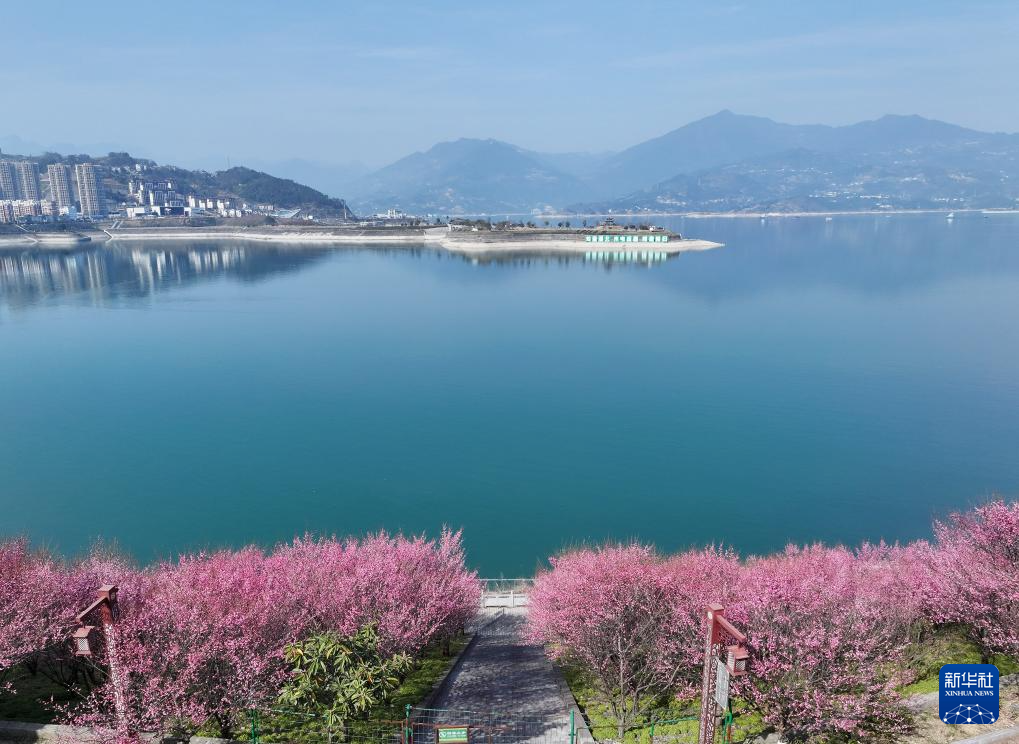 峡江春来早