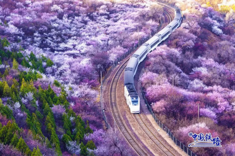 铁路清明假期运输今日启动 预计发送旅客8450万人次 铁路清明假期运输今日启动 预计发送旅客8450万人次