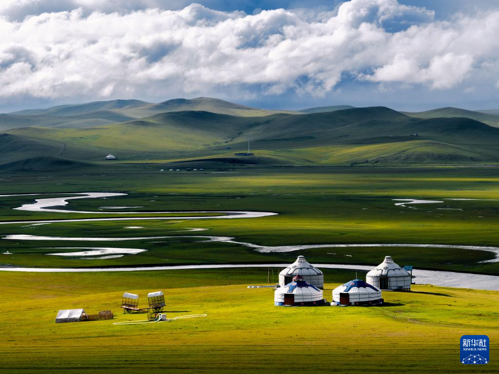 秋染陈巴尔虎草原