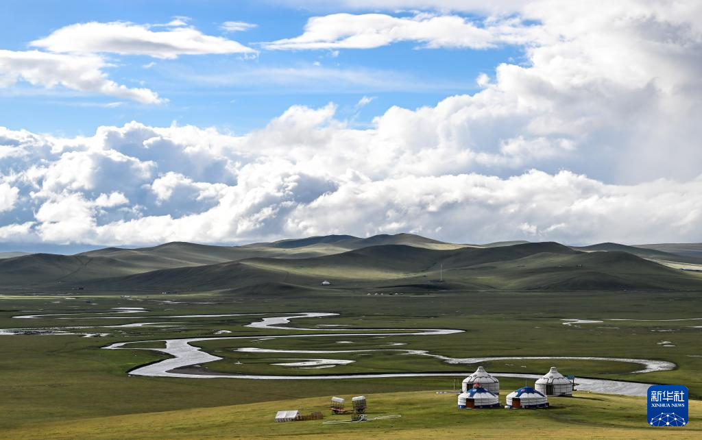 秋染陈巴尔虎草原