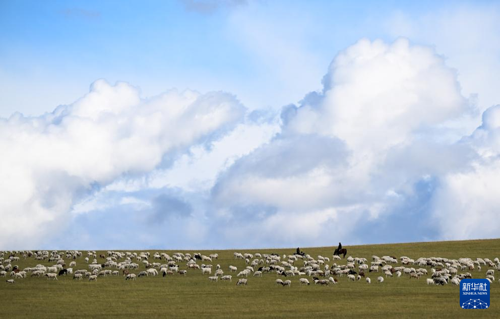 秋染陈巴尔虎草原