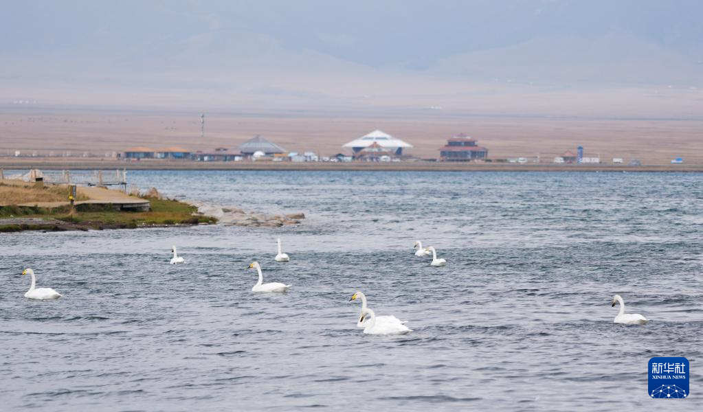 新疆赛里木湖:绘就生态旅游新图景