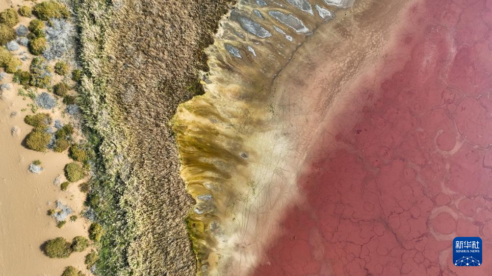 巴丹吉林沙漠秋日即景