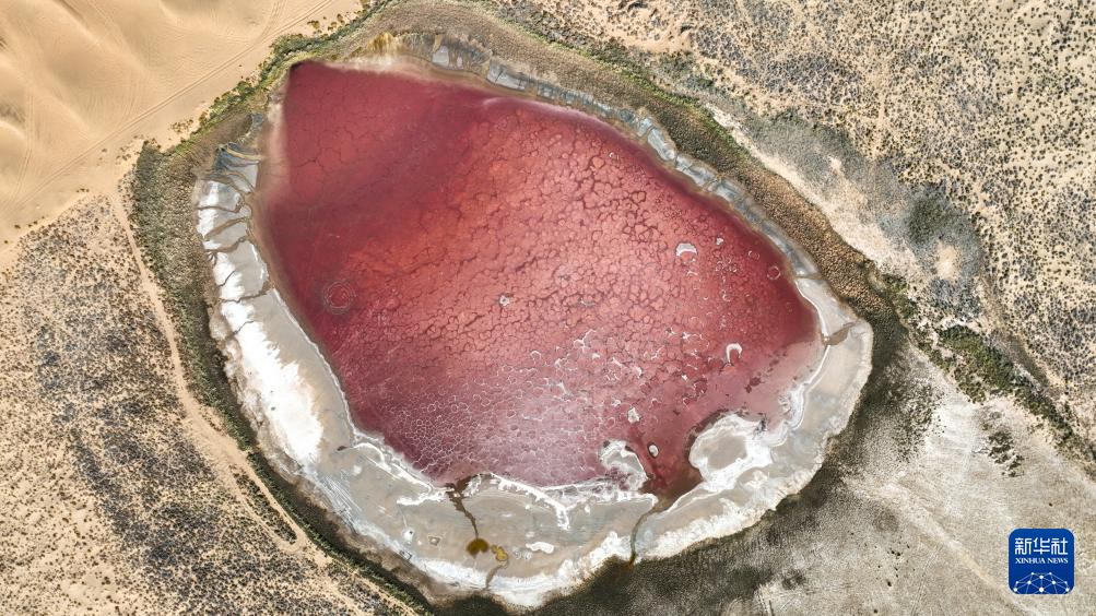 巴丹吉林沙漠秋日即景