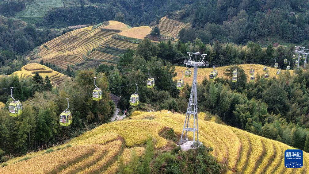 广西龙胜:金秋梯田美如画