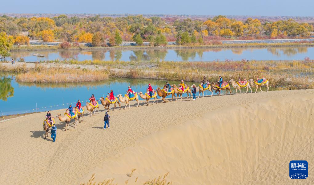 新疆:沙漠胡杨入画来