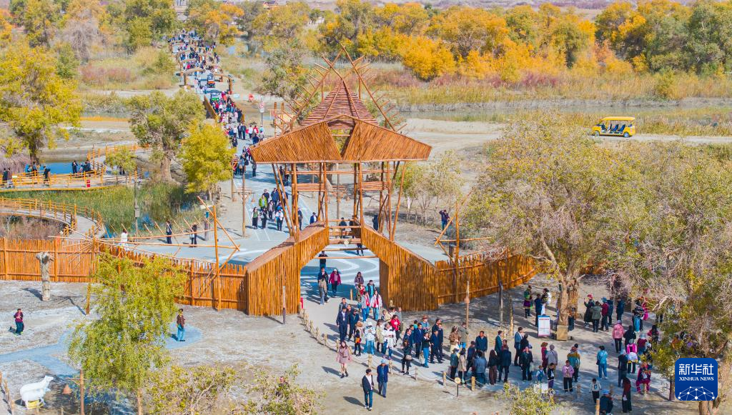 新疆:沙漠胡杨入画来