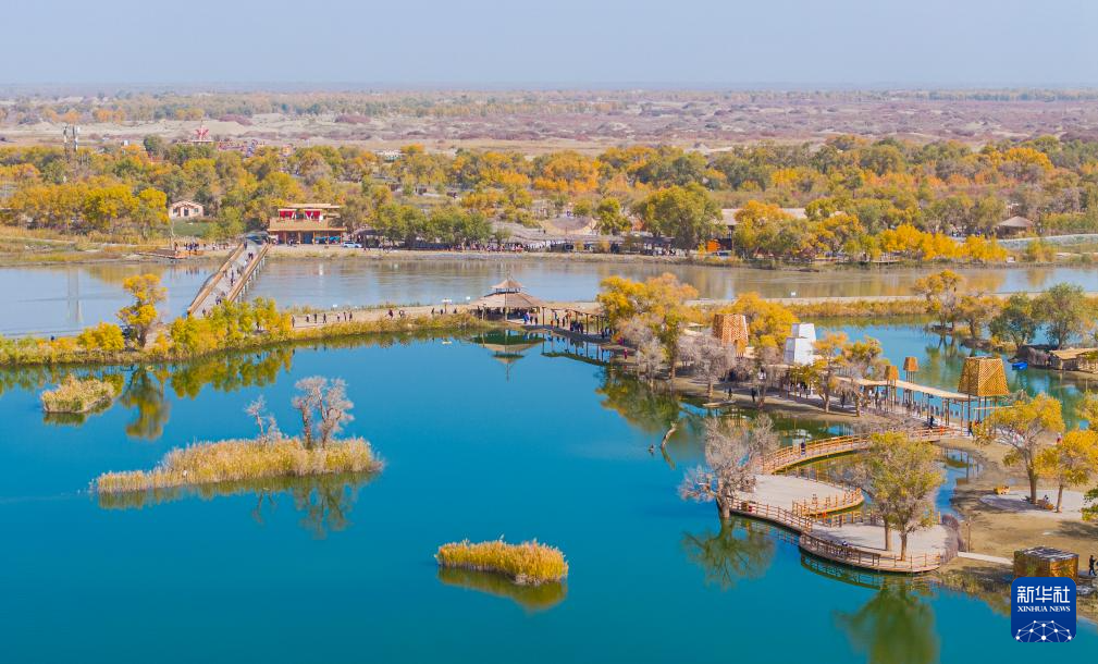 新疆:沙漠胡杨入画来