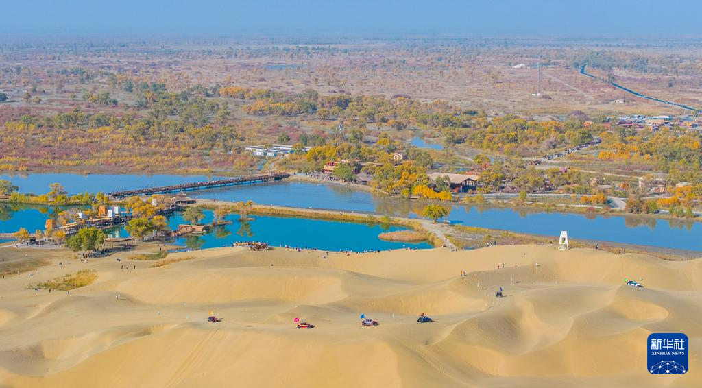 新疆:沙漠胡杨入画来