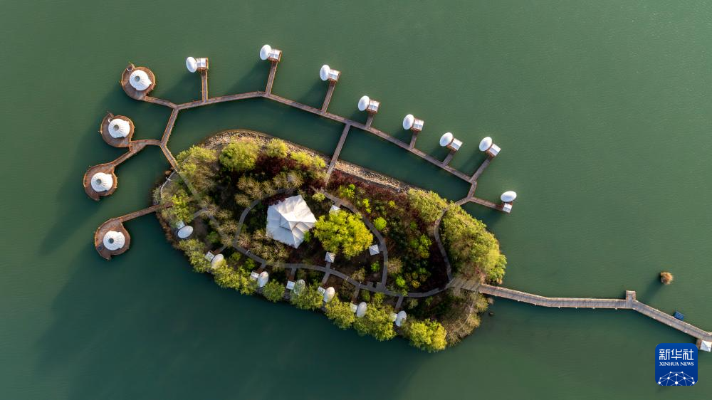 春日沙湖:沙水相依 绘就生态画卷